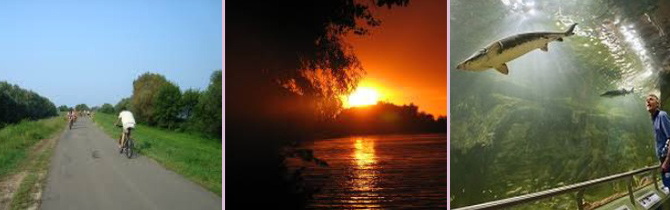 Tisza tó