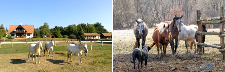 Kercaszomor, Kerca Bio Farm