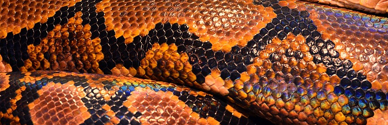 Hatásos kezelés a ráncok ellen kedvezményesen, a Diamond Deal kuponjával!