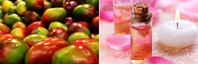 Mangó-barack masszázs olaj