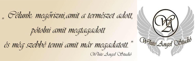 Szexi frizura kedvezményesen a DiamondDeal-el!