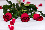 Rózsavarázs - 3 szál rózsa