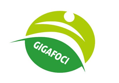 Gigafoci