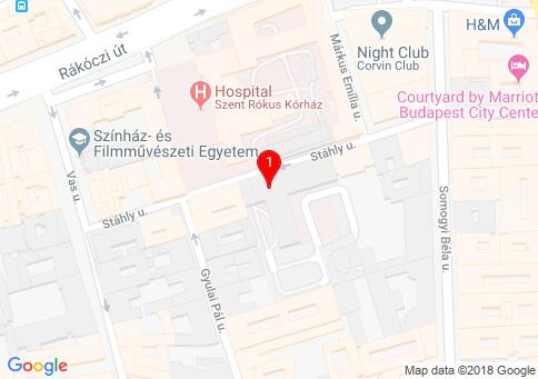 Diána Kineziológia - Szent Rókus Kórház