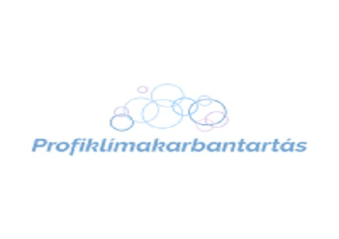 Profiklimakarbantartas.hu 