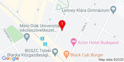 Medmis Intézet