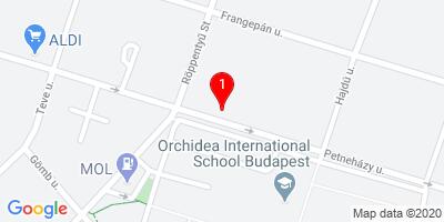 ERS Revital - Irodai masszázs/Massage in Budapest