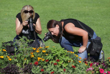 Kezdő fotós tanfolyam 3 órában órában online vagy tanteremben