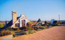 Hévízi fürdőzés a Föld legnagyobb területű melegvizes gyógytavában -  Buszos utazás a Neoline-tól