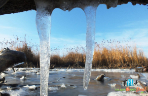 Csodáld meg a Tisza-tó téli hangulatát egy buszos utazás keretein belül