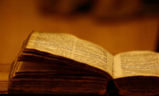 Csodáld meg a Tisza-tó téli hangulatát egy buszos utazás keretein belül