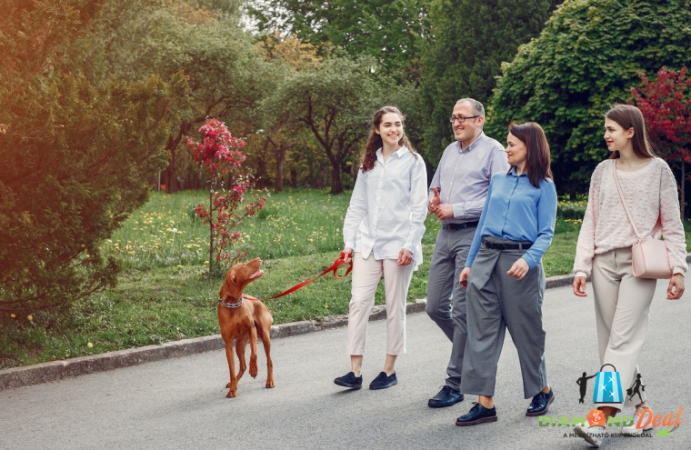 Igazi kaland akár az egész család számára World of Advantures játék: Kutyabetyár