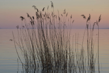 Tanuld meg a fotózás rejtelmeit! - Fényképezőgép használati workshop