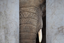 Tanuld meg a fotózás rejtelmeit! - Fényképezőgép használati workshop