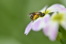 Tanuld meg a fotózás rejtelmeit! - Fényképezőgép használati workshop