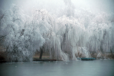 Tanuld meg a fotózás rejtelmeit! - Fényképezőgép használati workshop