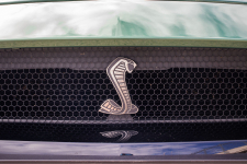 Lenyűgöző megjelenés, brutális motor-Ford Mustang Shelby GT500 élményvezetés 3,5,6,8,10 vagy 12 kör