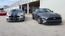 Ülj egy 2021-es 500 lóerős Ford Mustang GT nyergébe és száguldj a Kakucs Ringen