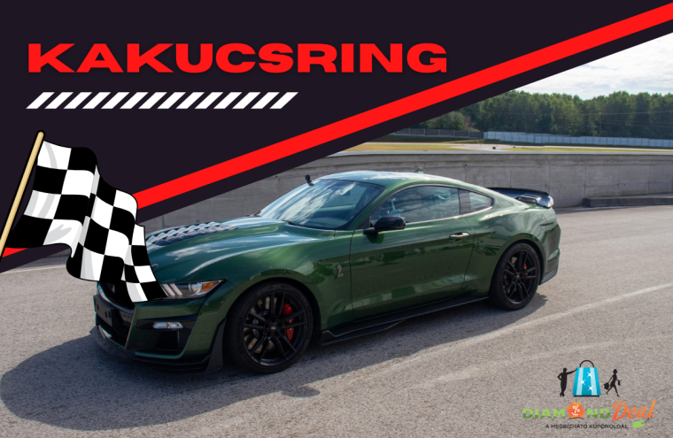 Lenyűgöző megjelenés, brutális motor-Ford Mustang Shelby GT500 élményvezetés 3,5,6,8,10 vagy 12 kör