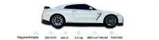 Száguldj Nissan GT-R-rel a Kakucs Ringen! 3, 5, 6, 8 vagy 10, 12 körön át