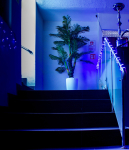 Shisha Box – válasszatok 15 féle vízipipápól és mellé 2 koktélt a Paradise Shisha Bárban!