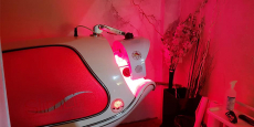 Karcsúsító, méregtelenítő és bőrfeszesítő Alpha Oxy Led Spa kezelés a XI. kerületben
