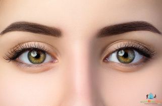 Választható szempilla VAGY szemöldök festés a XI. kerületben