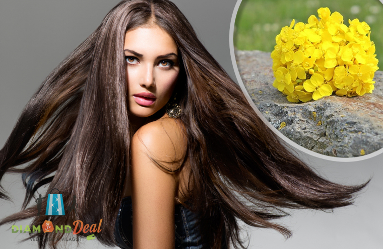 Hajhullás elleni repceolajos hajkezelés egészségügyi hajvágással!