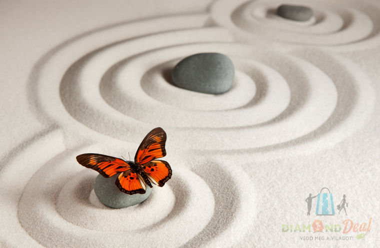 Hozd rendbe az életedet kineziológia vagy Theta Healing segítségével, vagy válaszd mindkettőt!