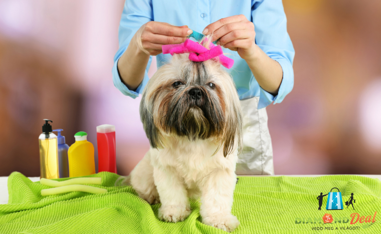 Kis testű kutya teljes körű kozmetikázása fürdetéssel, egészségügyi nyírással, otthoni tanácsadással