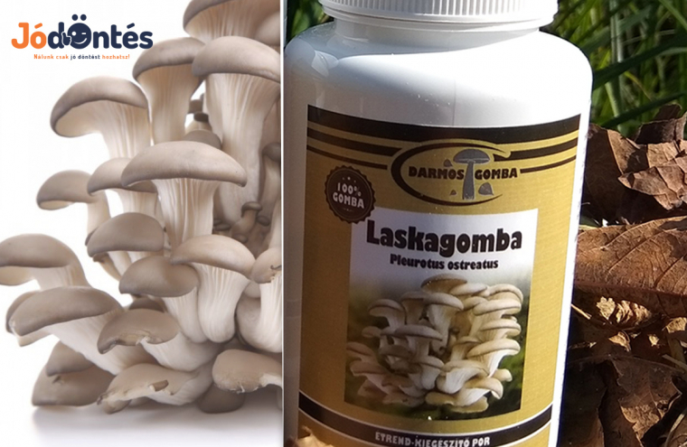Étrend kiegészítő laskagomba por 30 grammos