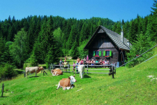Napfényes pihenés Karintiában! 4 nap/3 éj 2 főnek reggelivel és wellness-szel, Panoramadorf Saualpe