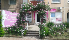 Női hajfestés bármilyen hosszúságú hajra mosással, vágással + szárítással a IV. kerületben