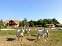 3 nap/2 éj pihenés, 2 főre, reggelivel aKerca Bio Farmon, La CAJIBA faházban.