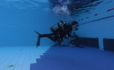 Próbamerülés védett vízben - akár a pároddal is (Nemzetközi regisztrációval)