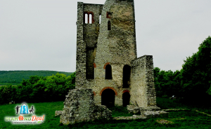 Dörgicse – Levendárium, romtemplomok és Balatonfüred autóbuszos kirándulás, 2021. június 20-n