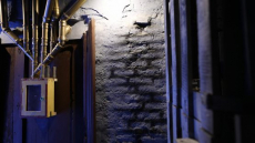 Varázsvilág - A Varázslóbörtön foglya, családbarát szabadulószoba - hétköznapi felhasználással!