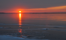 Autóbuszos kirándulás: Pákozd-Sukorói Arborétum és Vadaspark, hajózással, két időpontban is