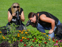 Tanulj meg otthonról FOTÓZNI, egy profival!ONLINE, saját időbeosztással!