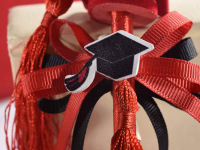 Különleges ballagó toll 2 féle mintával