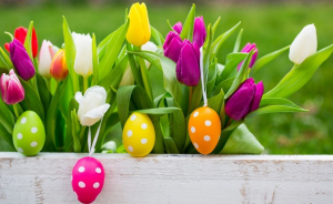 Buszos utazás a Mátrába: Tojáspatkolás, nép motívumgyűjtemény, palóc néprajzi gyűjtemény