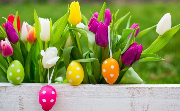 Buszos utazás a Mátrába: Tojáspatkolás, nép motívumgyűjtemény, palóc néprajzi gyűjtemény