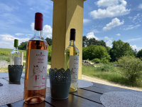 Borkóstoló a Katona Borház Kislaki Borteraszán 6 borral, hidegtállal 2 fő részére