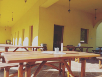 Borkóstoló a Katona Borház Kislaki Borteraszán 6 borral, hidegtállal 2 fő részére