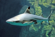 Fedezd fel Bécsben A Tenger Házát buszos utazásunkkal!