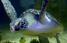 Fedezd fel Bécsben A Tenger Házát buszos utazásunkkal!