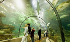 Fedezd fel Bécsben A Tenger Házát buszos utazásunkkal!