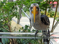 Fedezd fel Bécsben A Tenger Házát buszos utazásunkkal!