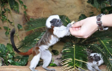 Fedezd fel Bécsben A Tenger Házát buszos utazásunkkal!
