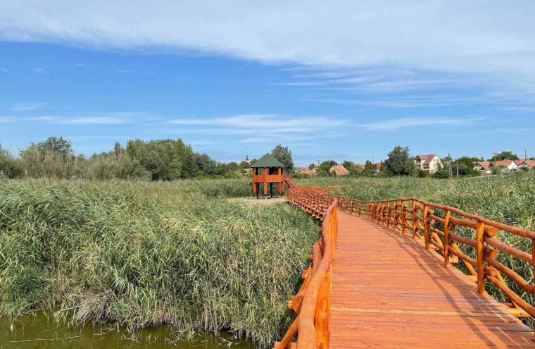 Nagykőrös - Tiszakécske a möggy ünnepén: Buszos utazás